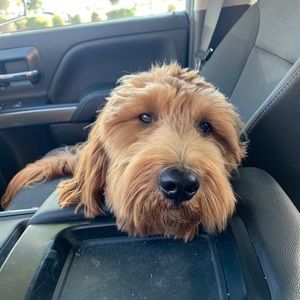 Meet your Posher, Nick